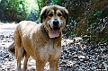 _DSC7794