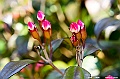 _DSC7799