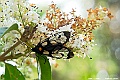 _DSC7912