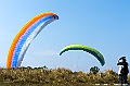 _DSC4913