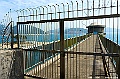 _DSC3312