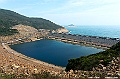 _DSC3392