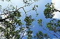 _DSC3670