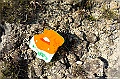 _DSC3718