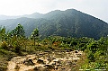 _DSC3737