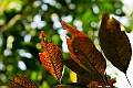 _DSC3751