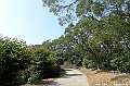 _DSC5871