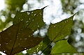 _DSC5887