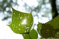 _DSC5895