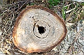 _DSC5908