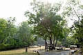_DSC5916