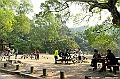 _DSC5924