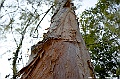 _DSC5928