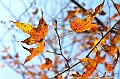 _DSC5948