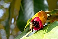 _DSC5949