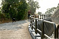 _DSC5974