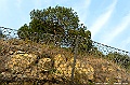 _DSC5977