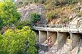 _DSC5980