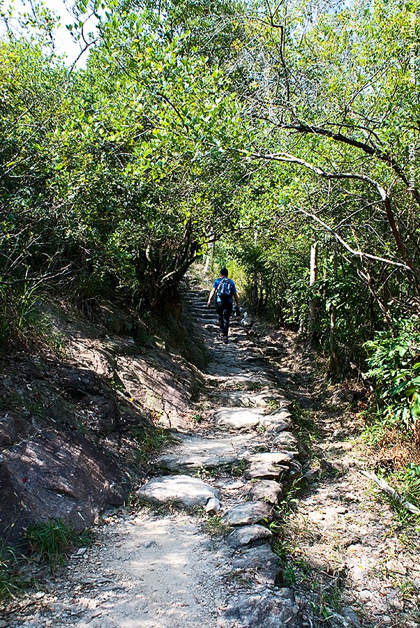 DSC_1487.JPG