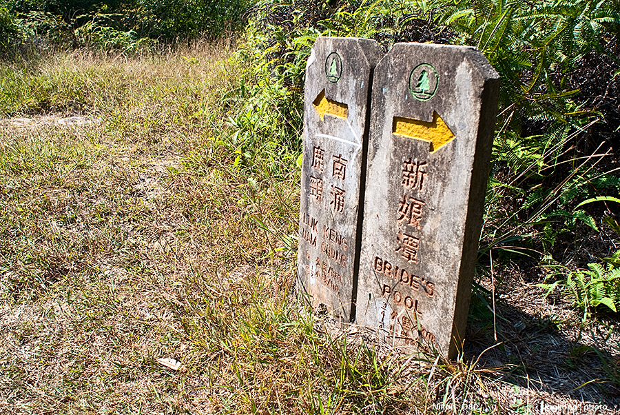 DSC_1498.JPG