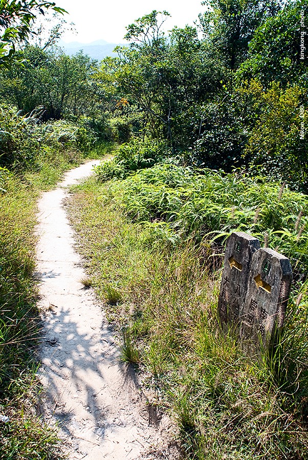 DSC_1499.JPG