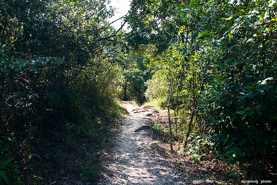 DSC_1501.JPG