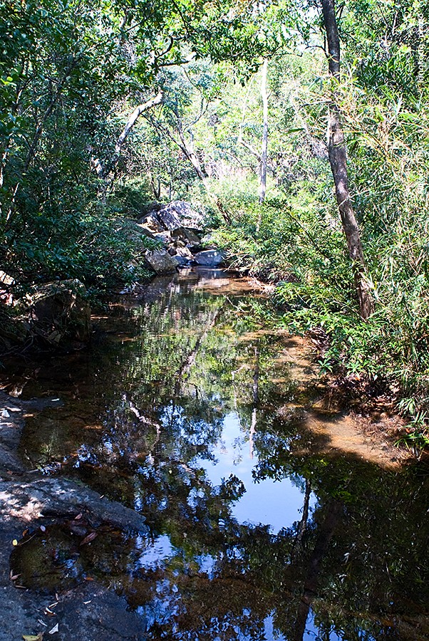 DSC_1507.JPG