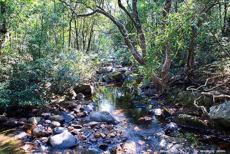 DSC_1510.JPG