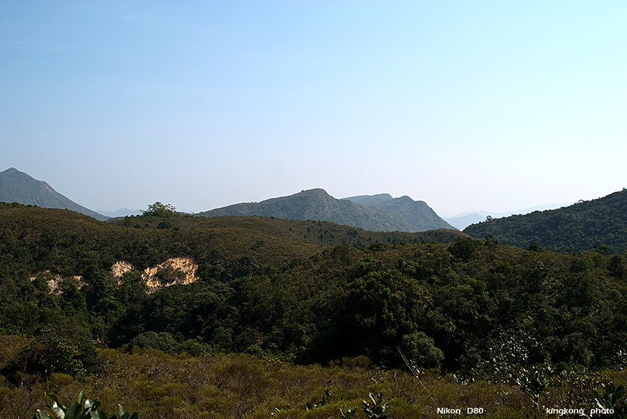 DSC_1512.JPG