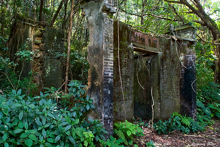 DSC_1519.JPG