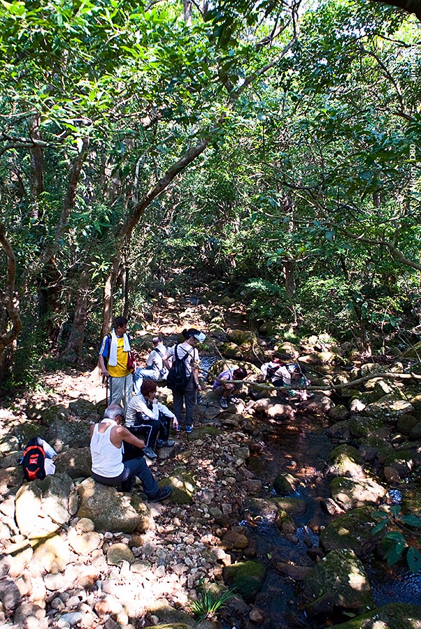 DSC_1521.JPG