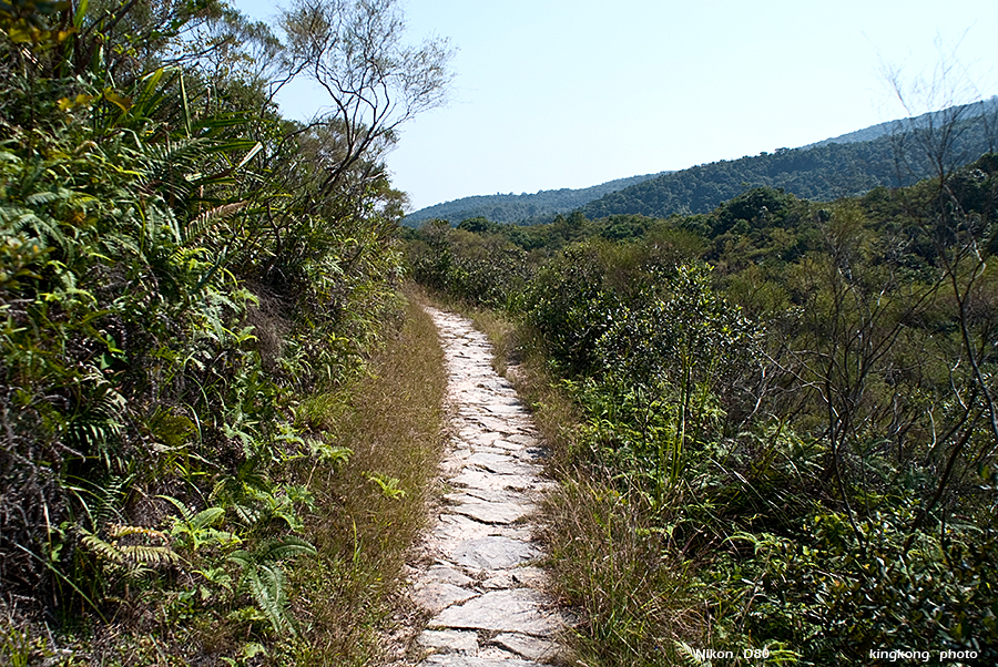 DSC_1522.JPG