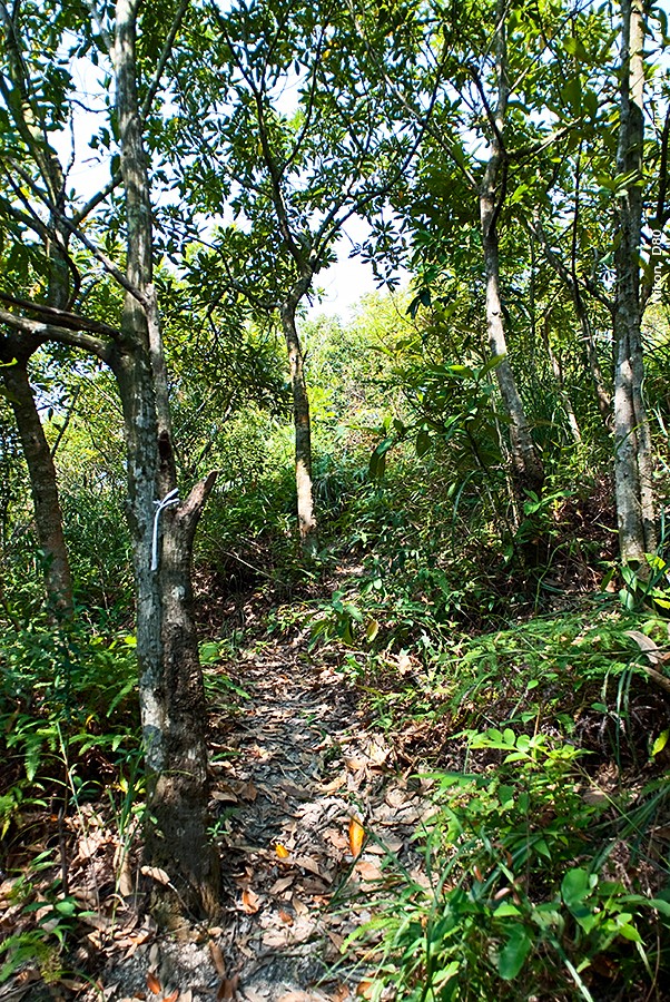 DSC_1572.JPG