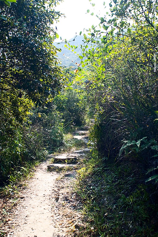 DSC_1612.JPG