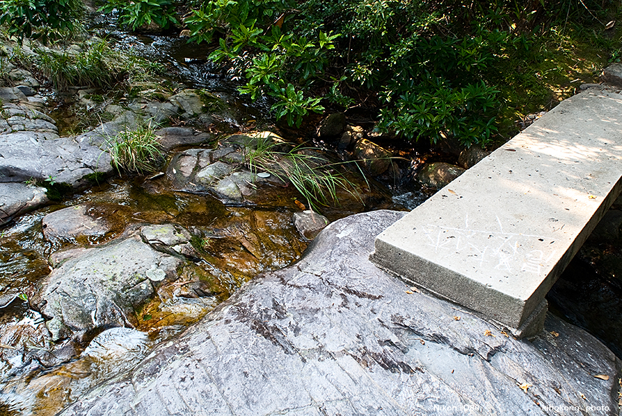 DSC_1642.JPG