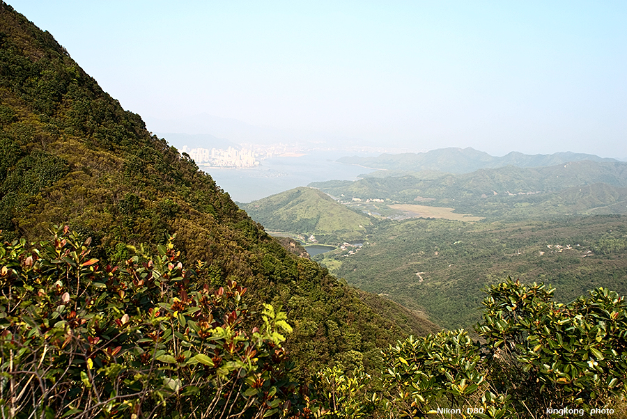 DSC_1646.JPG