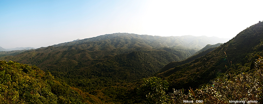DSC_1650.JPG