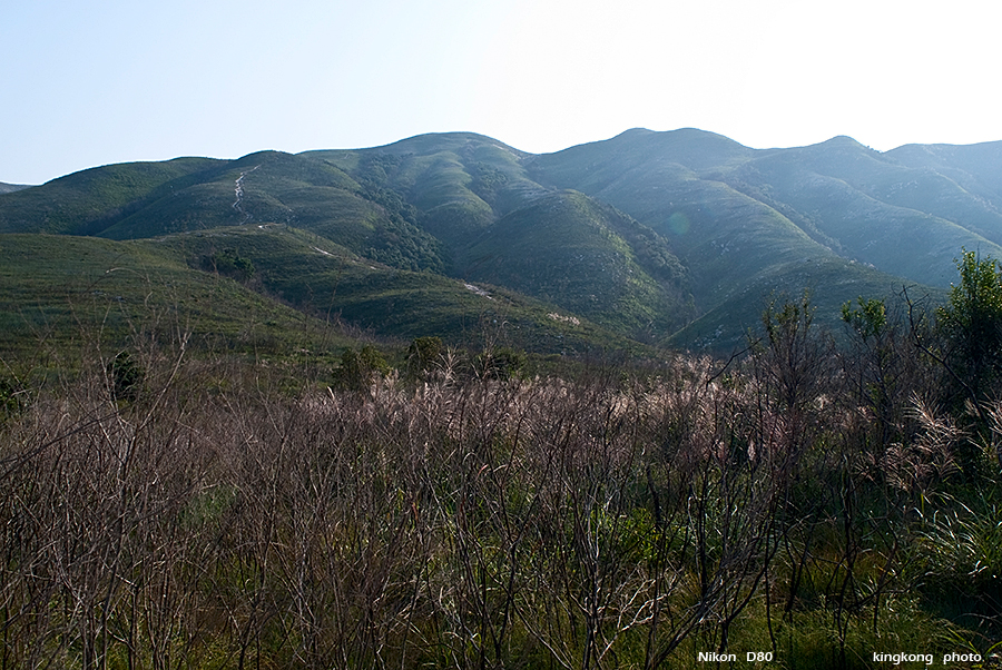 DSC_1665.JPG