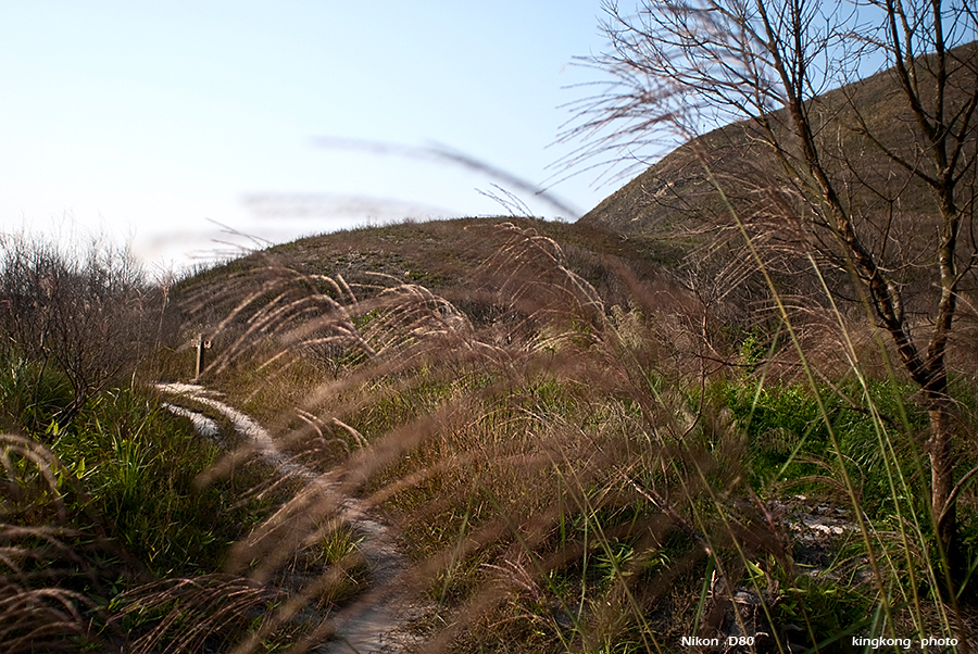 DSC_1692.JPG