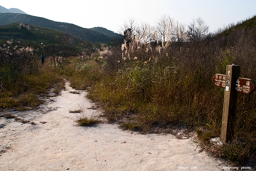 DSC_1693.JPG