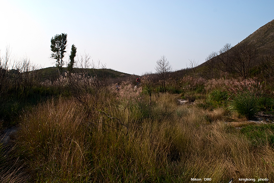DSC_1695.JPG