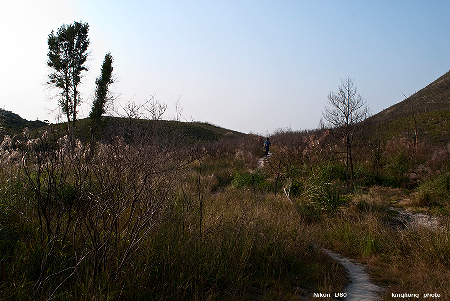 DSC_1696.JPG