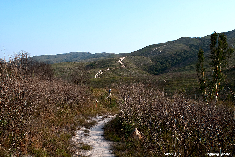 DSC_1700.JPG