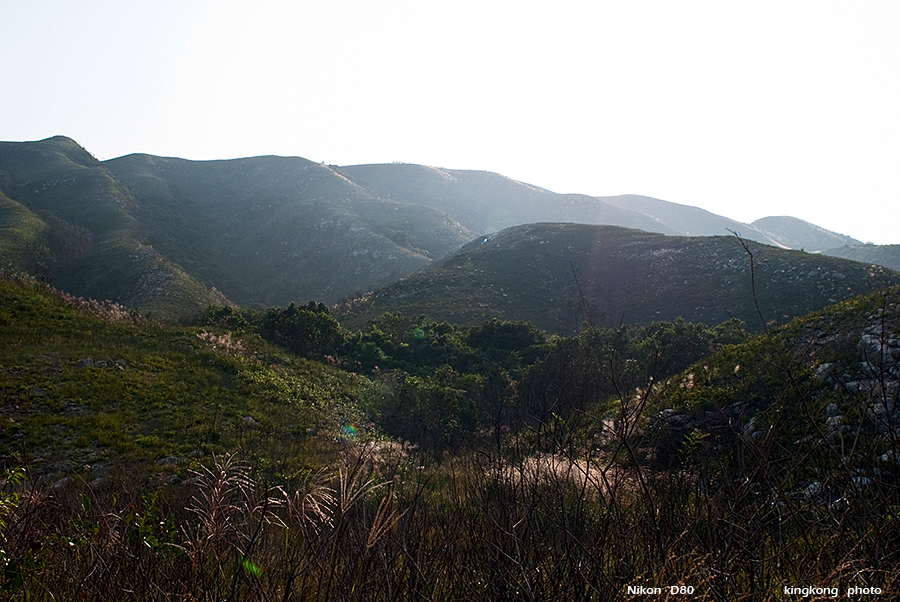 DSC_1701.JPG