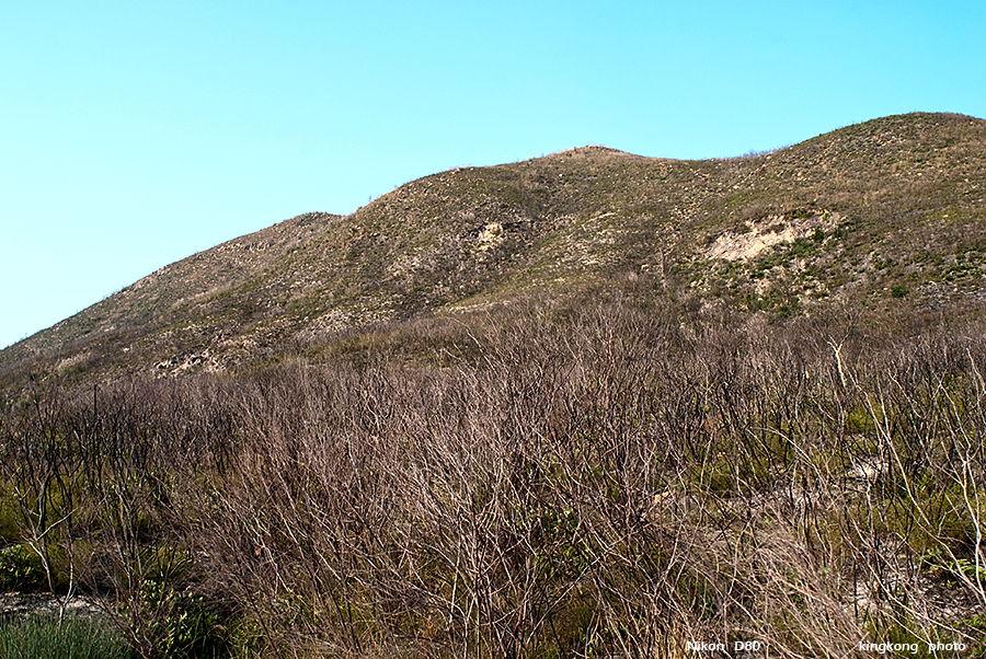 DSC_1702.JPG
