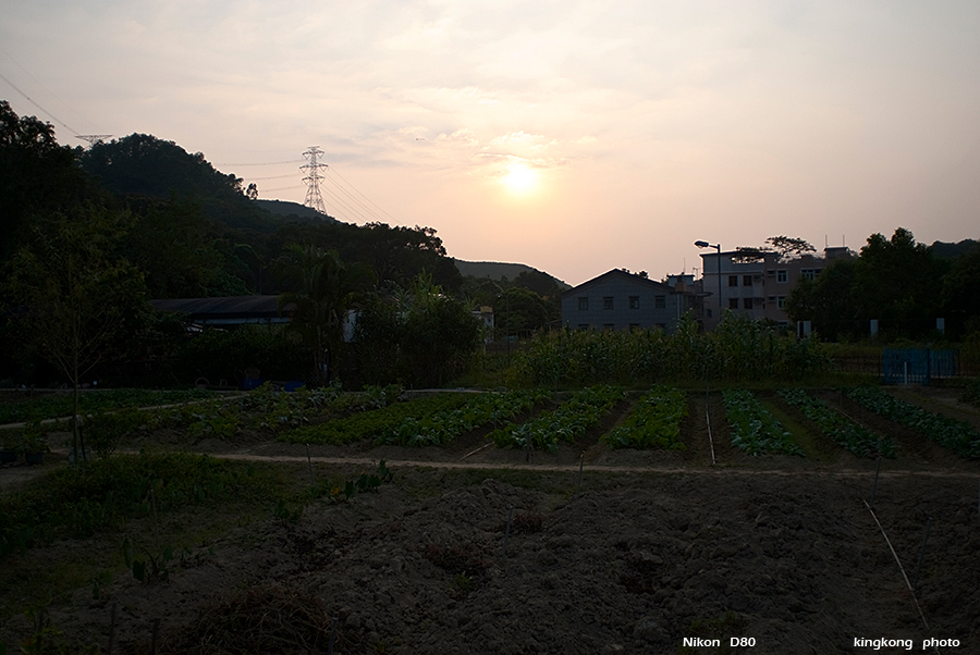 DSC_1753.JPG