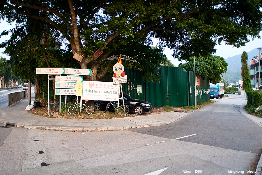 DSC_1765.JPG