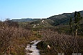 DSC_1700