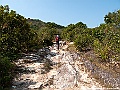 IMG_6286
