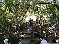 IMG_6293